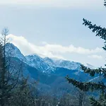 Apart-hotel Delta Zakopane