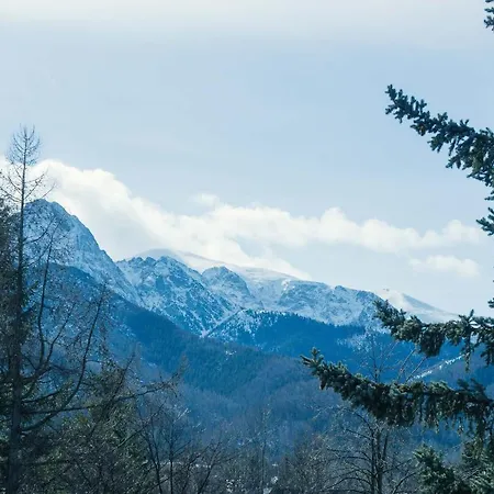 Ξενοδοχείο με διαμερίσματα Delta Ζακοπάνε